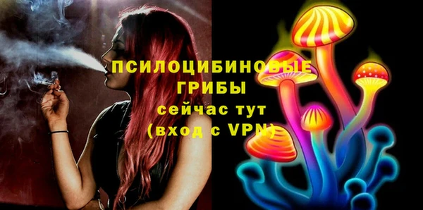 МДПВ Касимов