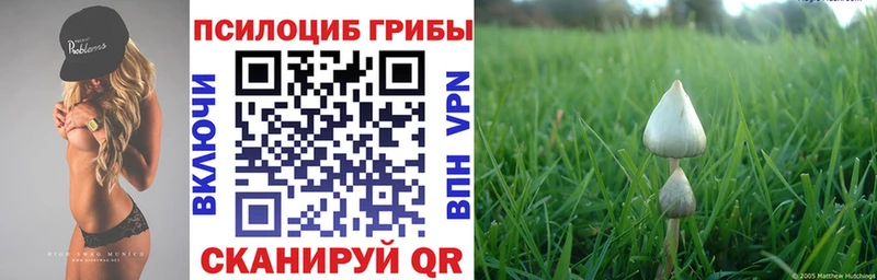 Галлюциногенные грибы мицелий  Кубинка 
