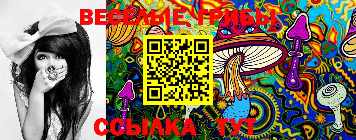 Галлюциногенные грибы GOLDEN TEACHER  Галлюциногенные грибы прущие грибы  Кубинка  Вход с VPN 